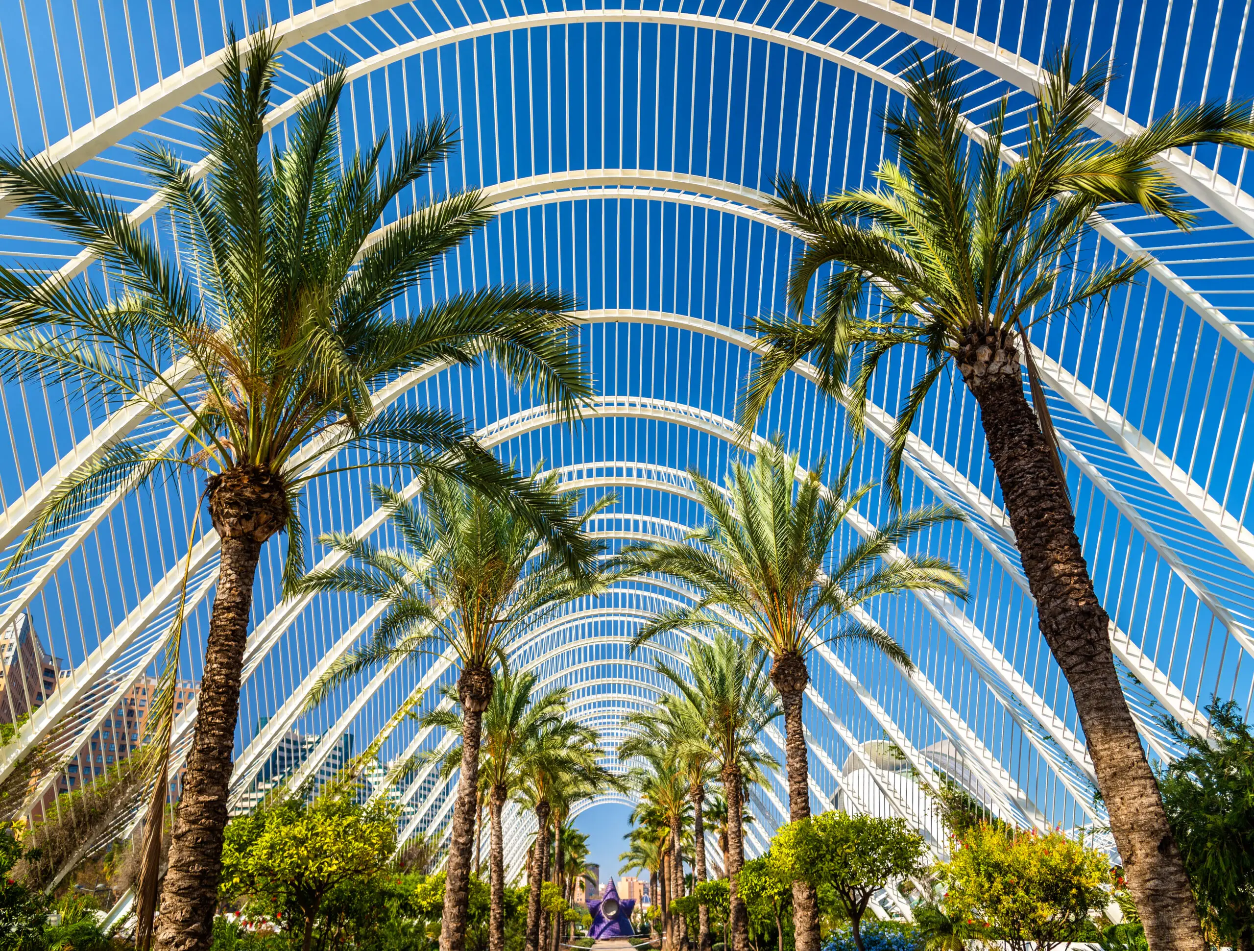 Valencia y Alicante